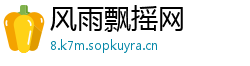 风雨飘摇网
